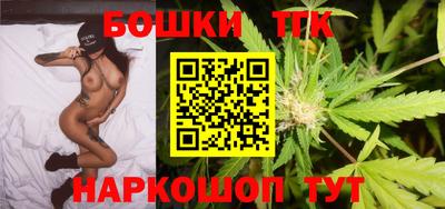 гашик Сланцы