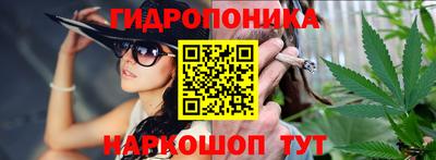 гашик Сланцы