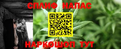 гашик Сланцы