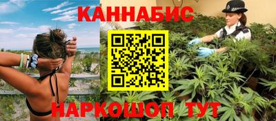 гашик Сланцы