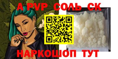 гашик Сланцы