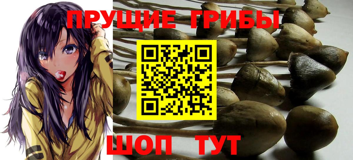 Галлюциногенные грибы мухоморы  Вход с VPN  Томск 